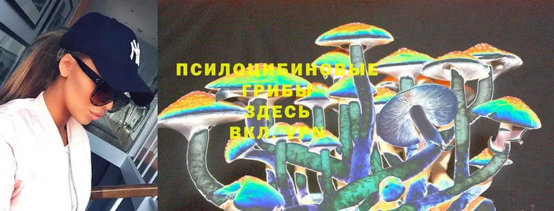 Галлюциногенные грибы Magic Shrooms  omg tor  Пермь  сколько стоит 